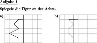 Eine Figur ist an einer Achse zu spiegeln (Beispiel für die Aufgabenstellung)