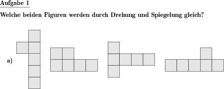 Hexominos zwei gleiche finden