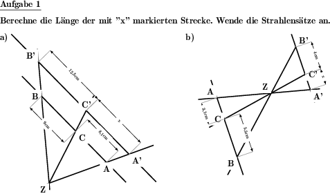 In Anwendung des Strahlensatzes ist bei vier Strecken aus vorgegebenen drei Längen die vierte Länge zu berechnen. (Beispiel für die Aufgabenstellung)